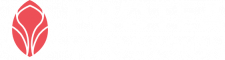 Protea Web Design